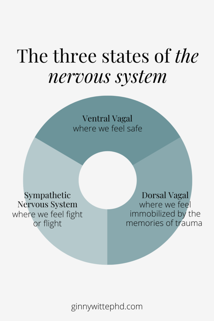 The three states of the polyvagal theory