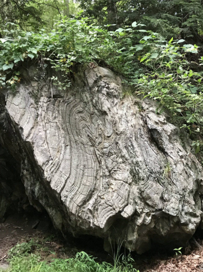 Photo An aged boulder with detailed lines formed over millions of years.