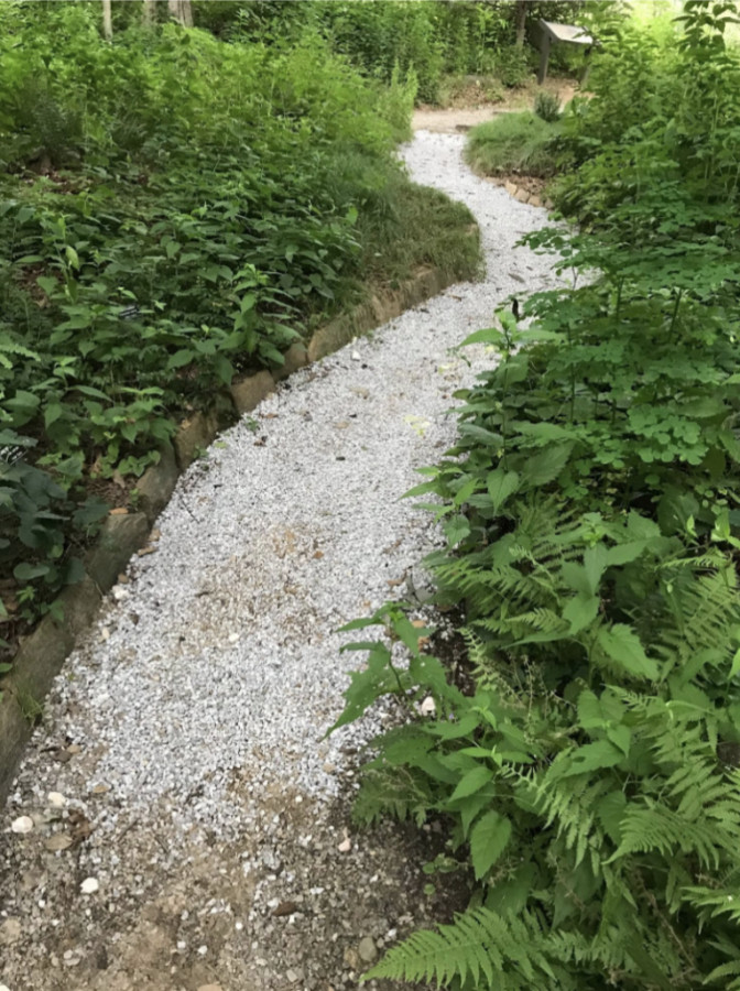 Photo Clear gravel path.