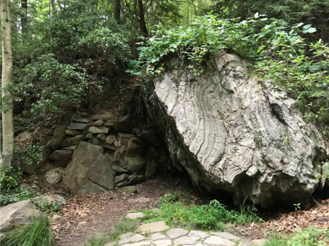 Photo Path leading right up to the large boulder.